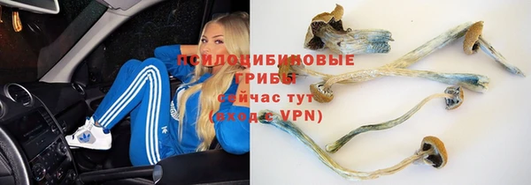 кокаин Алексин