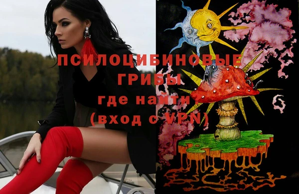 PSILOCYBIN Алзамай