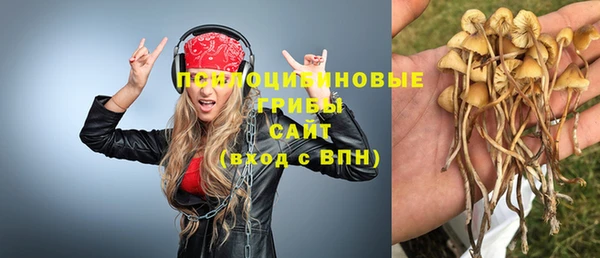 PSILOCYBIN Алзамай