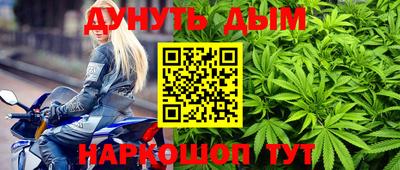 гидра Краснокаменск