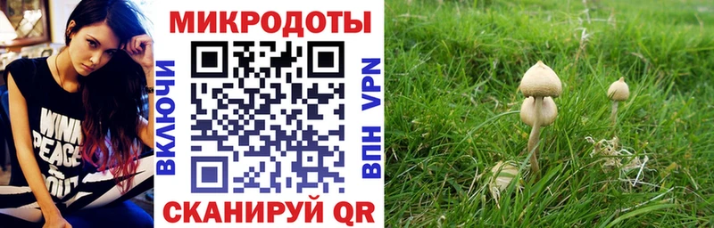 Галлюциногенные грибы Cubensis  Кирово-Чепецк 