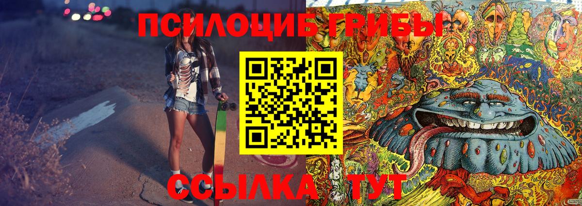 Псилоцибиновые грибы GOLDEN TEACHER Кирово-Чепецк