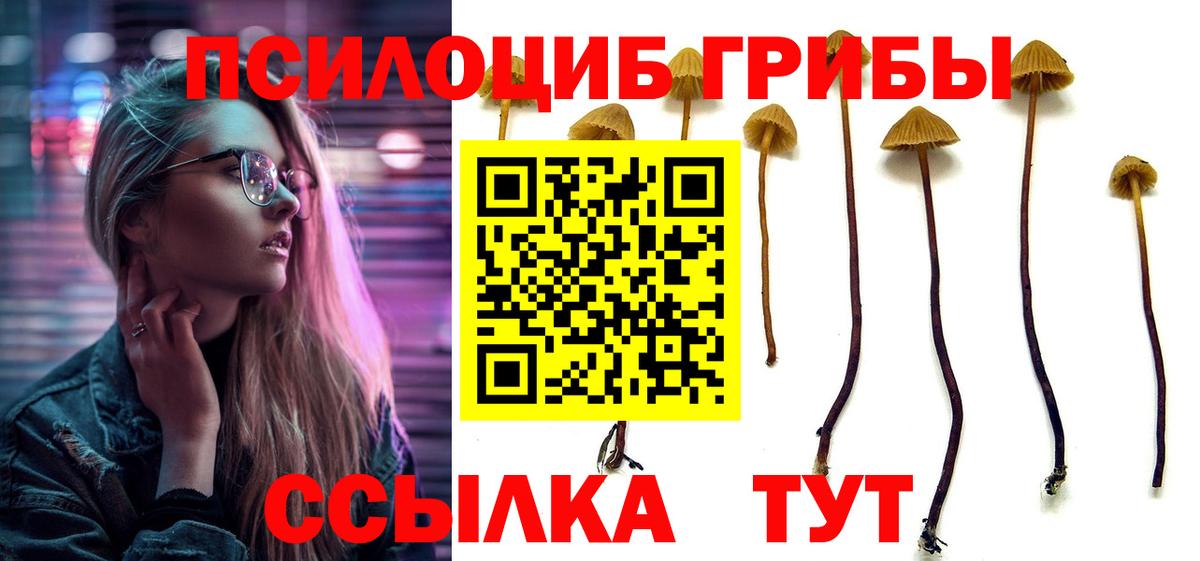 Галлюциногенные грибы ЛСД  Вход с VPN  Кирово-Чепецк  Псилоцибиновые грибы ЛСД 